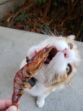 Load image into Gallery viewer, Shrimp (Head On)