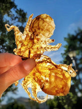 Load image into Gallery viewer, Baby Octopus (Wild Caught)