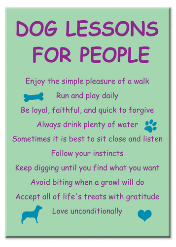 Rectangle Magnet - Dog Lessons For People