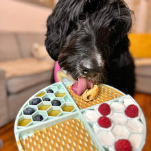 Load image into Gallery viewer, Dog Peanut Butter - 4oz Squeeze Packs Beef Broth Budder