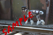 Load image into Gallery viewer, Suzanne Jackson